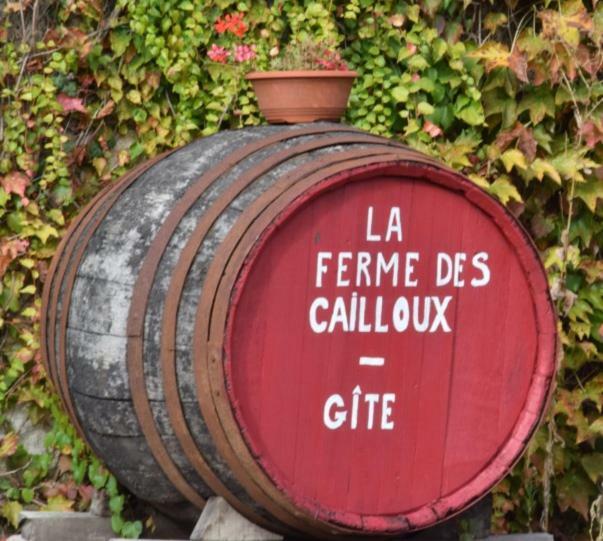 Villa La ferme des Cailloux à Sassay Extérieur photo